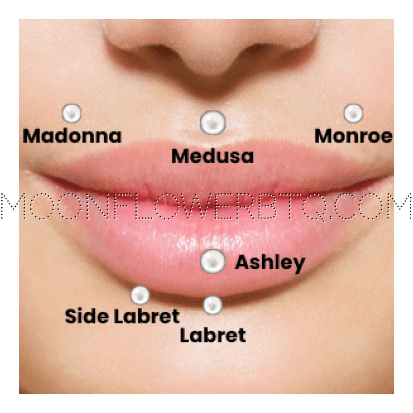 Stainless Steel Spike Labret Stud | 16G Lip Monroe Madonna Medusa Piercing Jewelry