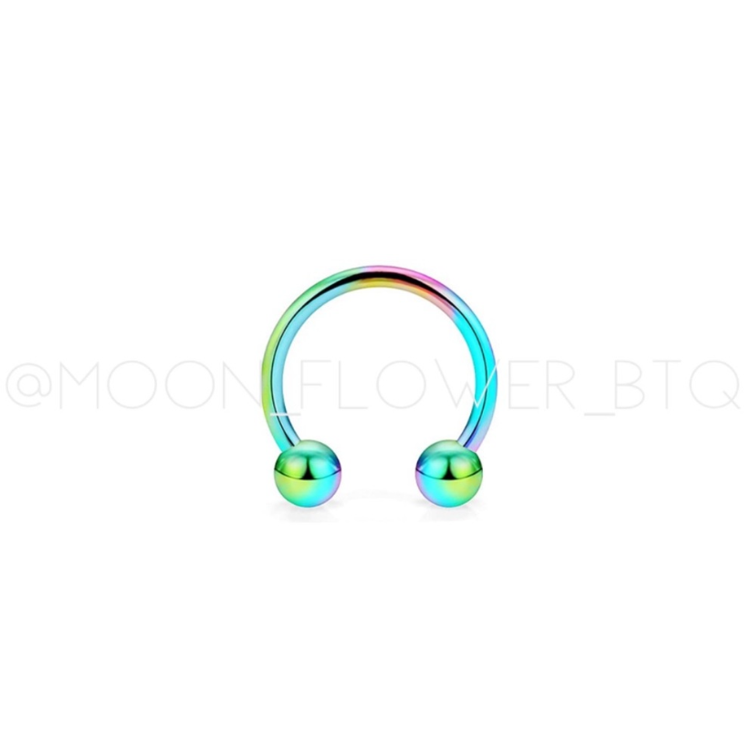 Rainbow Horseshoe Barbell