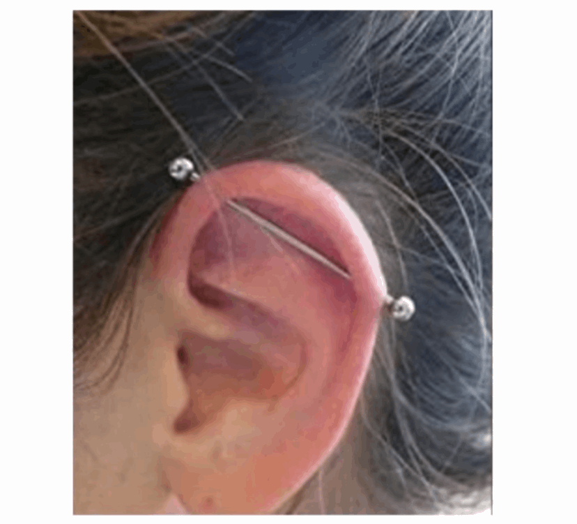 Rainbow Industrial Barbell Earring