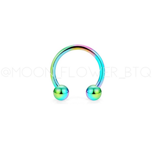 Rainbow Horseshoe Barbell