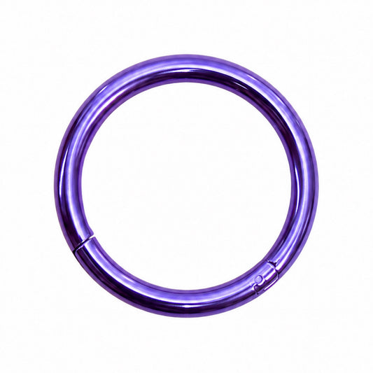 Purple Hinged Clicker Hoop Ring