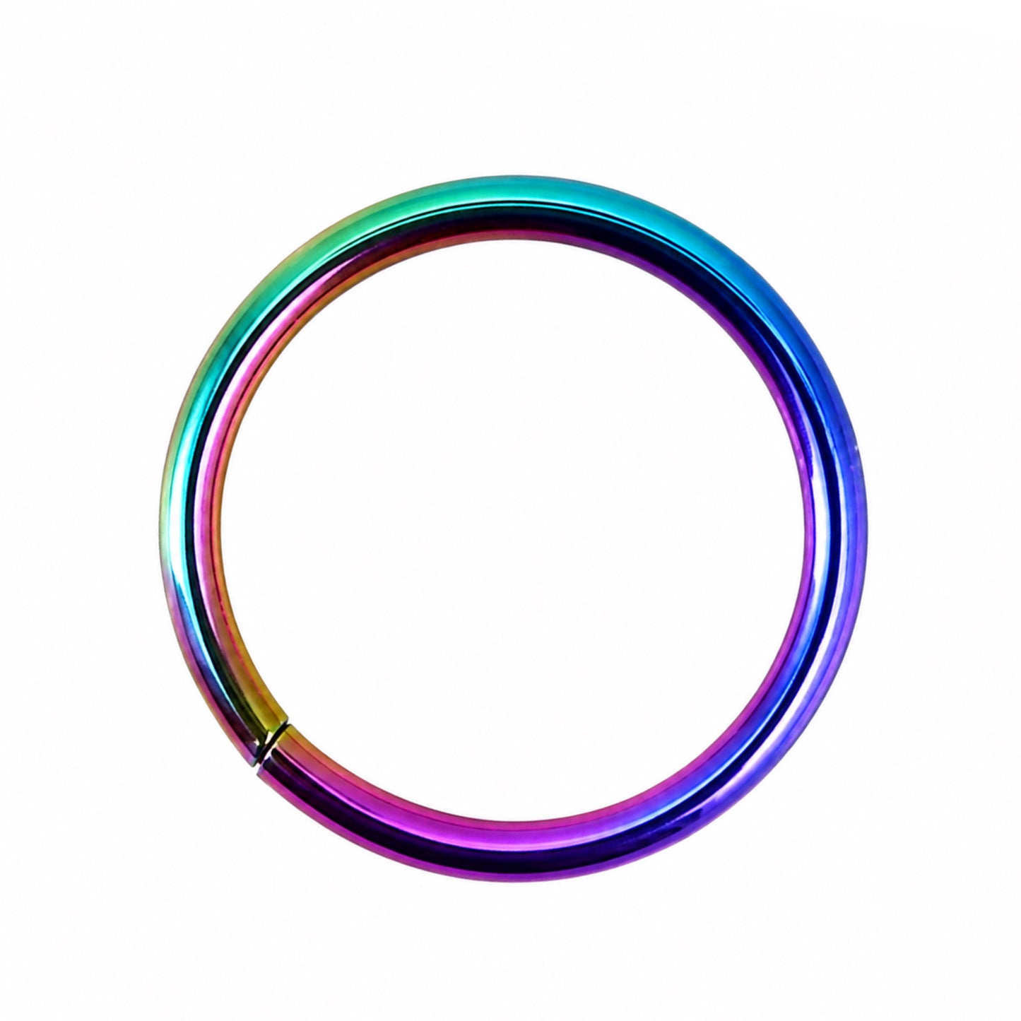 Rainbow Hinged Clicker Hoop Ring