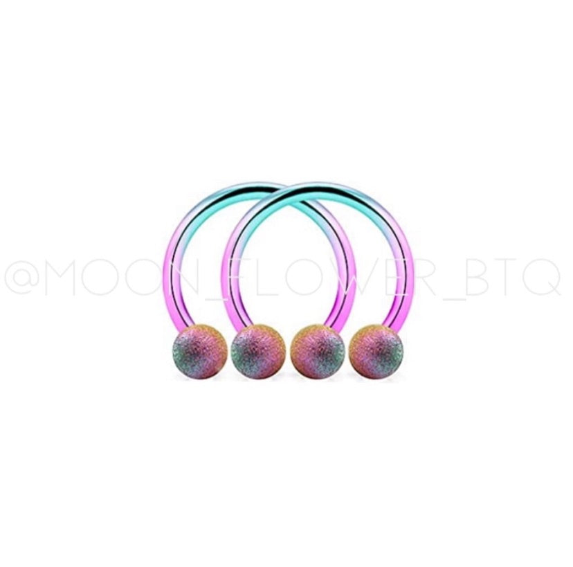 Rainbow Horseshoe Barbell Earrings